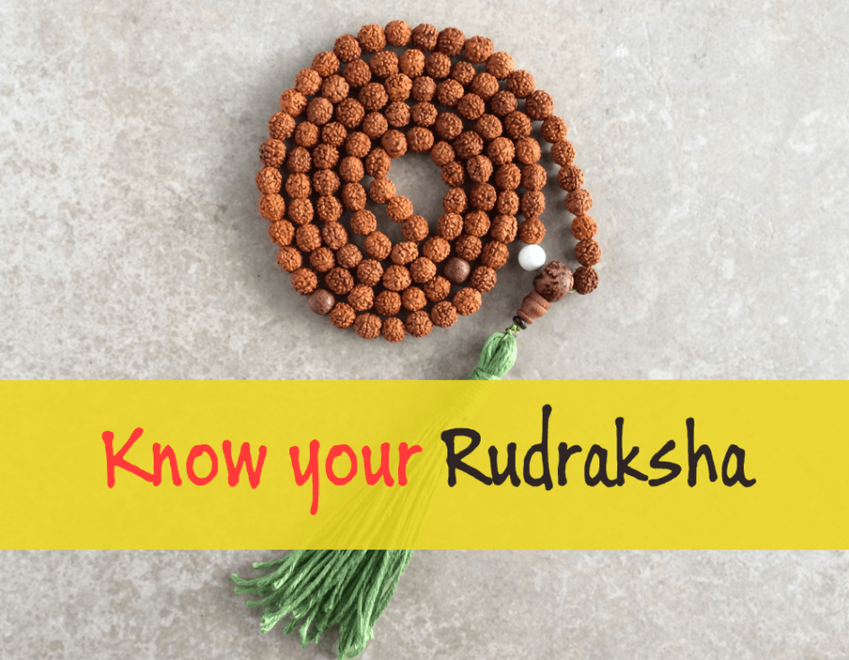 unknown-facts-about-rudraksha