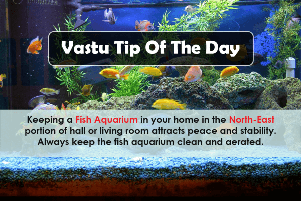 vastu tip of the day