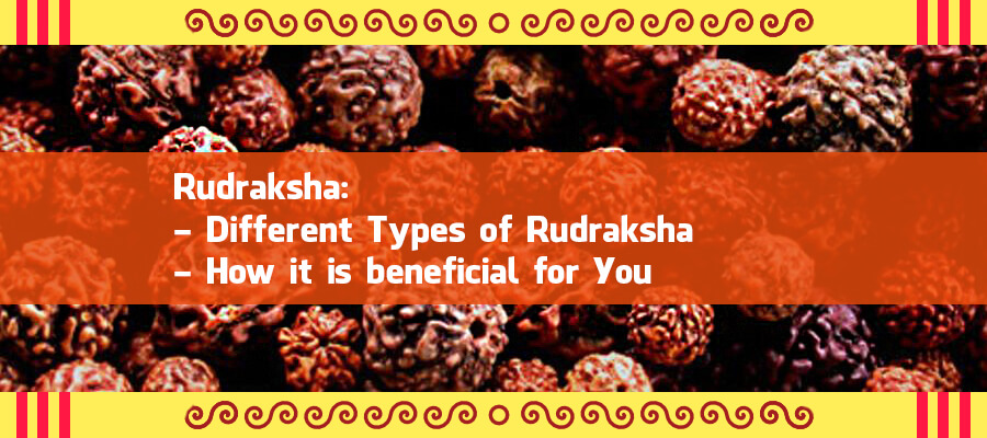 Rudraksha