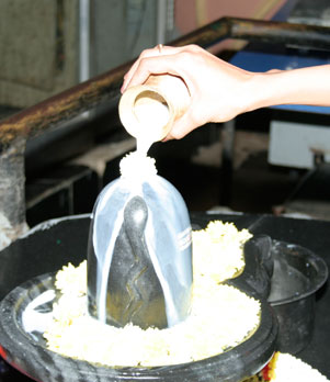 offer milk to shivling